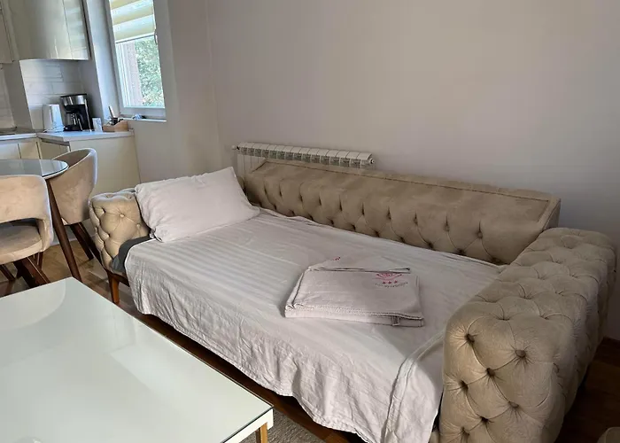 Apartment Luxury Iva Ii